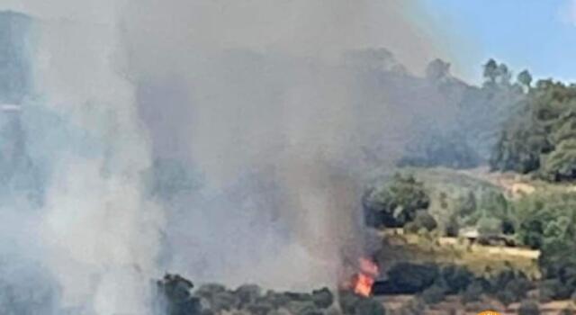 Incendi: ripresa focolai a Cinigiano, in azione elicotteri e canadair 