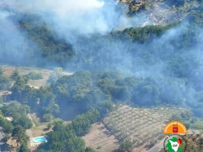 In fiamme bosco e uliveto, tre elicotteri in azione