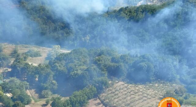 In fiamme bosco e uliveto, tre elicotteri in azione
