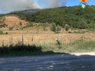 Incendio nel bosco, due elicotteri in azione