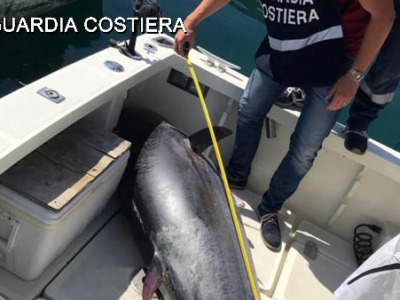 Stop alla pesca sportiva del tonno rosso