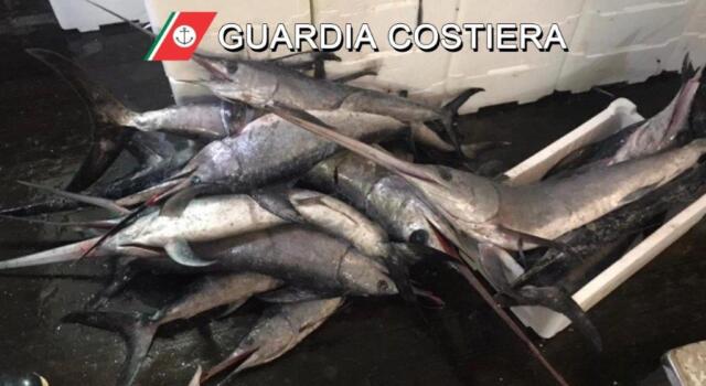 Vigilanza ittica volontaria, 30 mila euro dalla regione Toscana