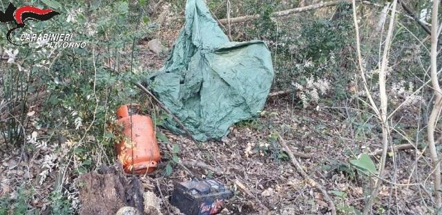 Individuata e smantellata una postazione di spaccio in un’area boschiva a Castagneto Carducci