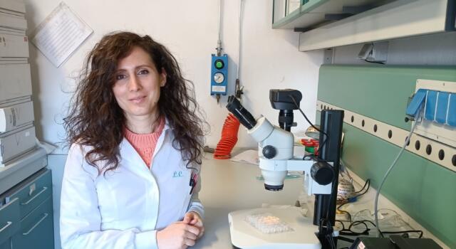 Università di Pisa: scoperto meccanismo molecolare responsabile del colesterolo cattivo