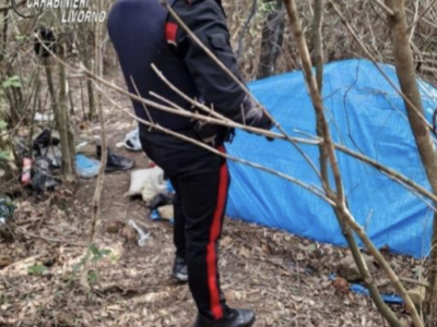 Smantellato bivacco nei boschi usato per lo spaccio della droga