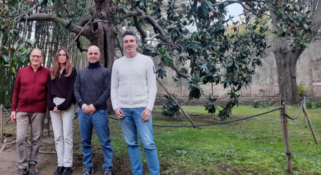 <strong>Cambiamento climatico: a rischio il 60 per cento degli alberi dell’Orto Botanico dell’Università di Pisa</strong>