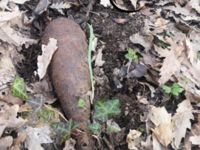 Trovata bomba mortaio nazista della Seconda Guerra mondiale in bosco