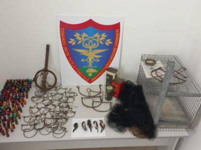 Bracconaggio: sequestrati a Carrara mezzi di cattura illecita e oltre 60 uccelli detenuti illegalmente