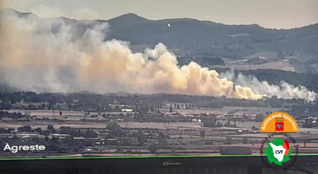 Incendio boschivo in corso nel comune di Fauglia in località Poggio alla Farnia