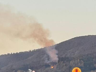 Incendi boschivi: in fiamme 2 ettari, al via le operazioni di bonifica