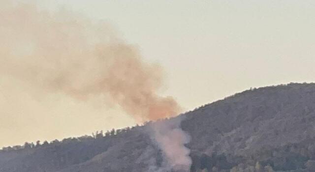 Incendi boschivi: in fiamme 2 ettari, al via le operazioni di bonifica
