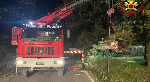 Vigili del Fuoco a Montecarlo per la rimozione di una grande quercia caduta in strada