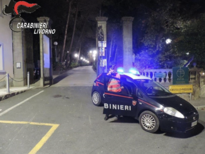 Truffa online, i carabinieri denunciano un 49enne