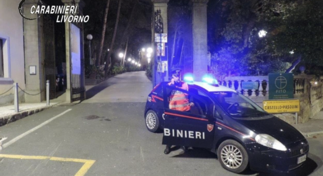 Truffa online, i carabinieri denunciano un 49enne