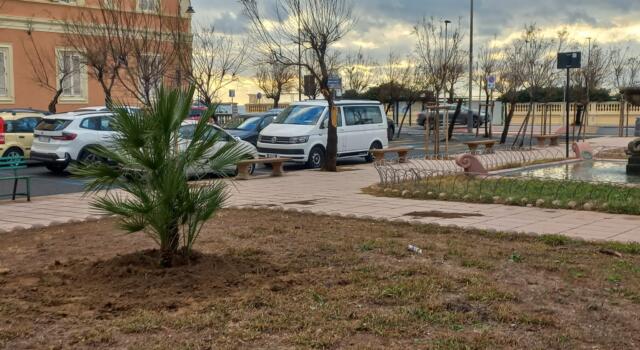 Cento nuovi alberi in città: ecco dove