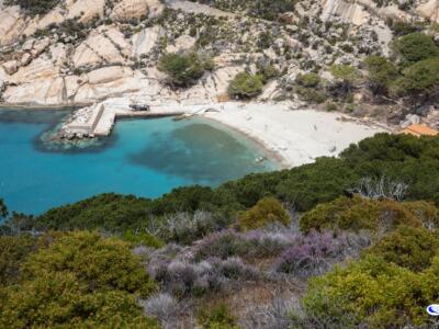 Aprono le iscrizioni per visitare l’Isola di Montecristo, posti limitati