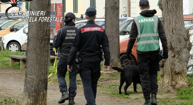 Avvelenamento animali domestici, prosegue la prevenzione