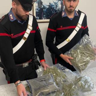 Coltiva marijuana accanto alla sua casa, arrestato 51enne