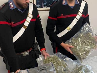 Coltiva marijuana accanto alla sua casa, arrestato 51enne