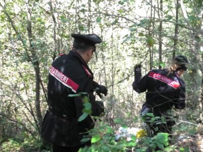 Operazione Rastrello: nei boschi del senese droga, fucili e una pistola