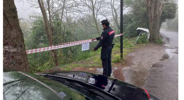 Nel bosco la discarica: area sequestrata e denuncia per il titolare del cantiere edile