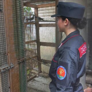 Blitz dei Forestali in un terreno: trovati scarti edili e sequestrate 7 tortore