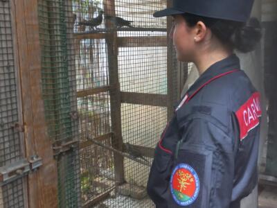 Blitz dei Forestali in un terreno: trovati scarti edili e sequestrate 7 tortore