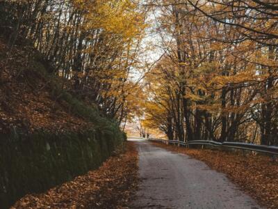 I 7 Luoghi Più Spettacolari per il Foliage in Toscana: La Guida Completa