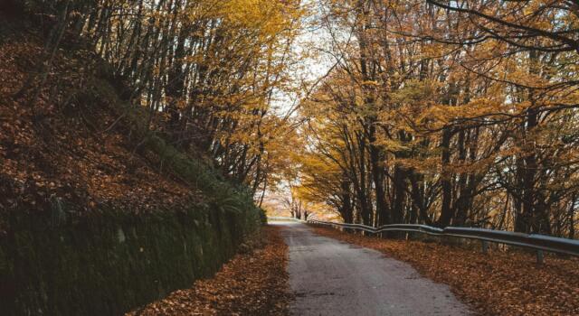 I 7 Luoghi Più Spettacolari per il Foliage in Toscana: La Guida Completa