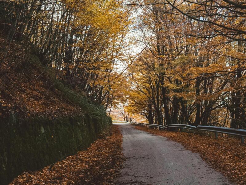 I 7 Luoghi Più Spettacolari per il Foliage in Toscana: La Guida Completa